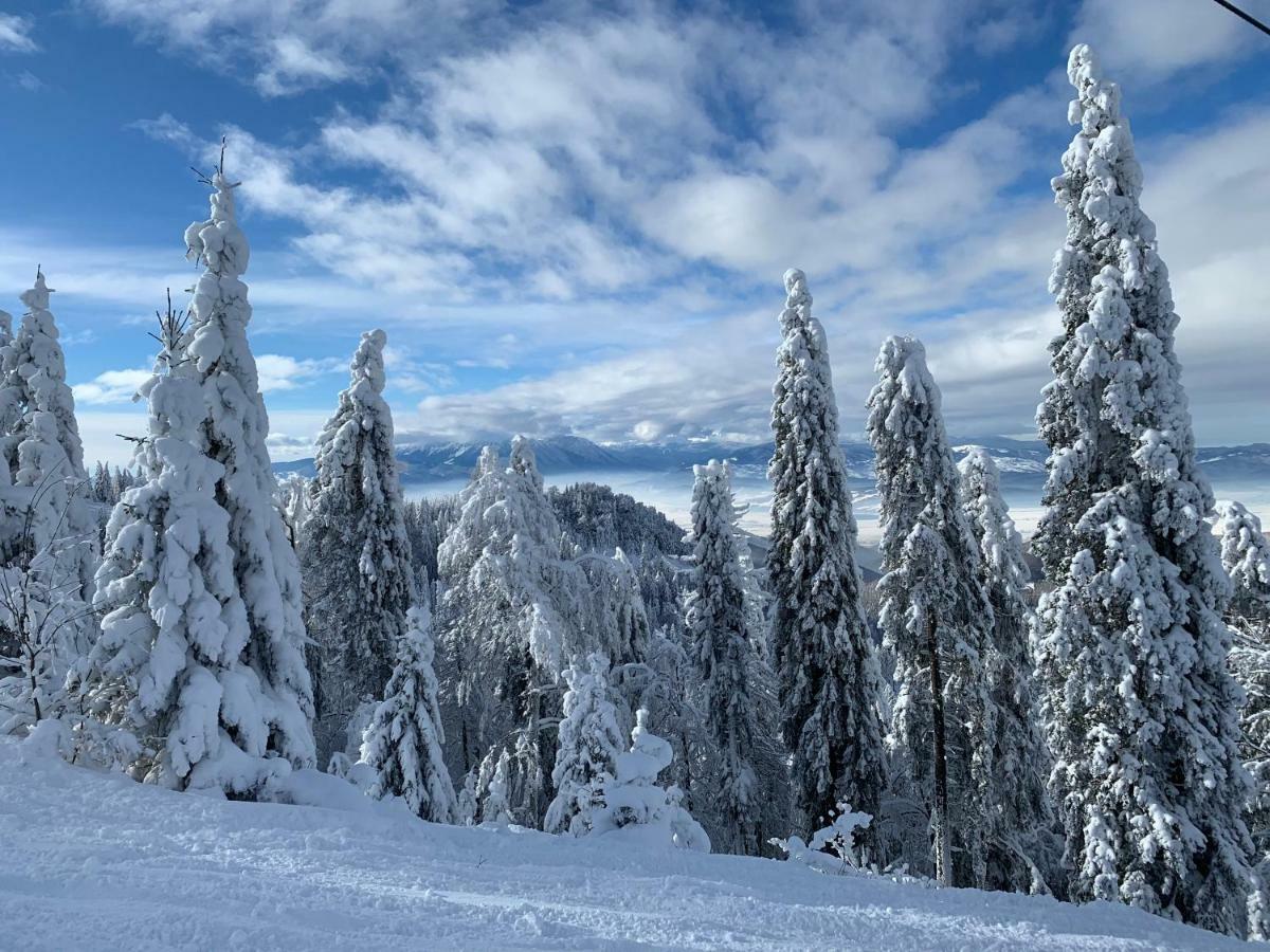 Silver Mountain Poiana Brašov Exteriér fotografie